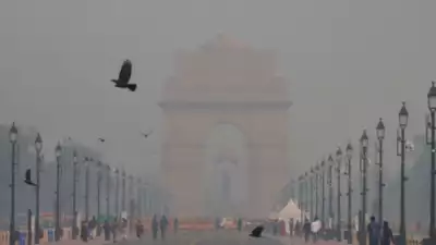 शहरों में प्रदूषण चिंताजनक