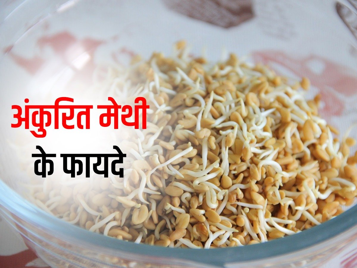 अंकुरित मेथी दाने खाने के अद्भुत फायदे: स्वस्थ जीवन का रहस्य