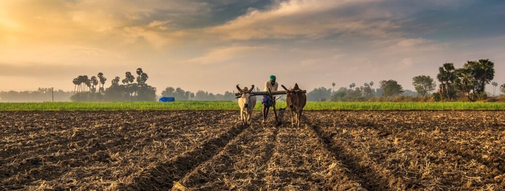 ग्रीष्मकालीन जुताई